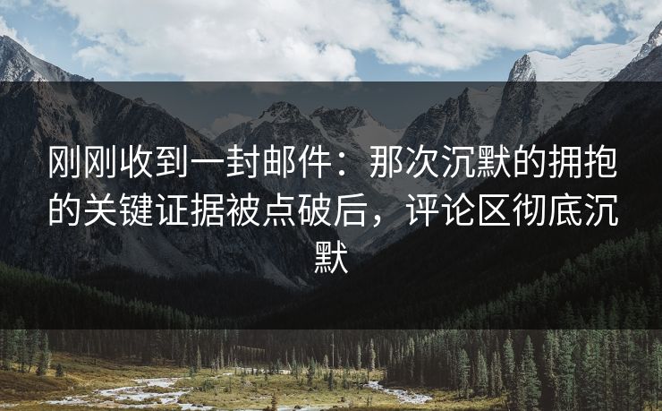 刚刚收到一封邮件：那次沉默的拥抱的关键证据被点破后，评论区彻底沉默