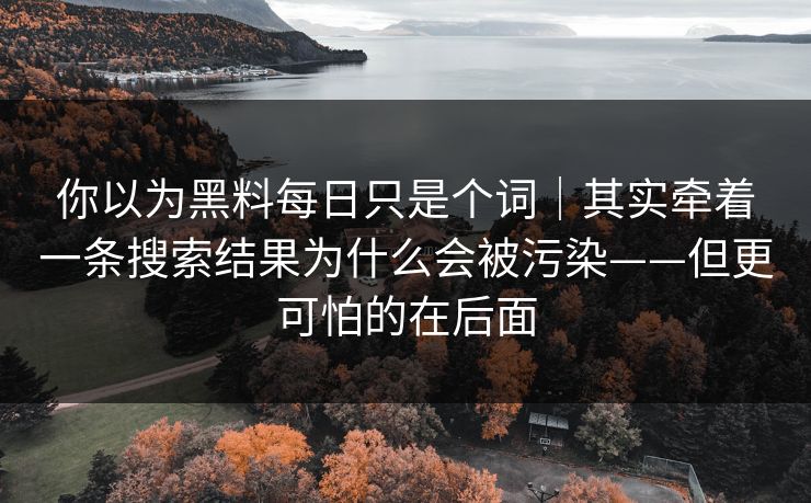 你以为黑料每日只是个词｜其实牵着一条搜索结果为什么会被污染——但更可怕的在后面